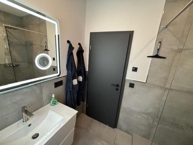 Deluxe Holiday home Halle (Saale)